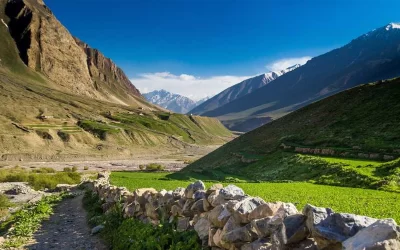 Inderkilla National Park, Himachal Pradesh: A Himalayan Haven for Wildlife Enthusiasts