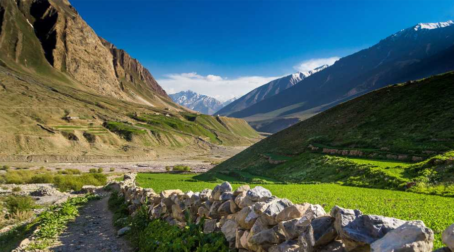 Inderkilla National Park, Himachal Pradesh: A Himalayan Haven for ...