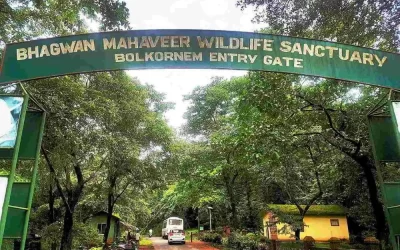 Mollem National Park, Goa: Where Nature Flourishes Amidst Tranquil Wilderness