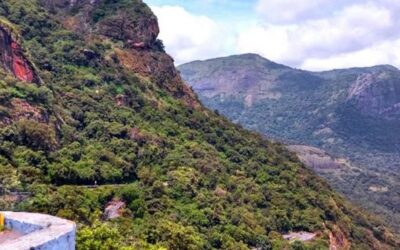 Mathikettan Shola National Park, Kerala: A Hidden Gem in the Western Ghats