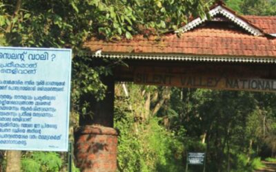 Silent Valley National Park, Kerala: A Symphony of Nature’s Serenity