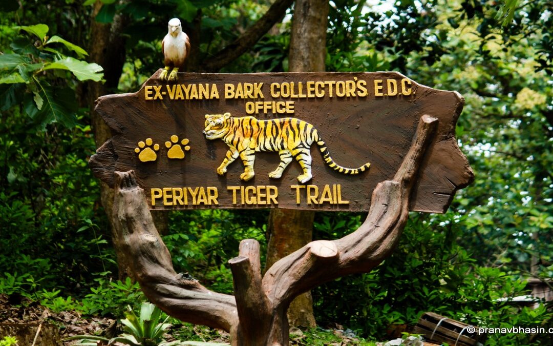 Periyar National Park, Kerala: Where Wilderness Meets Serenity