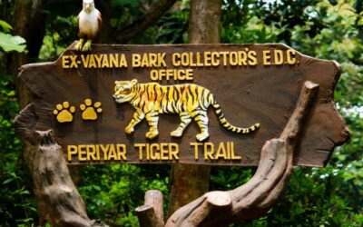 Periyar National Park, Kerala: Where Wilderness Meets Serenity