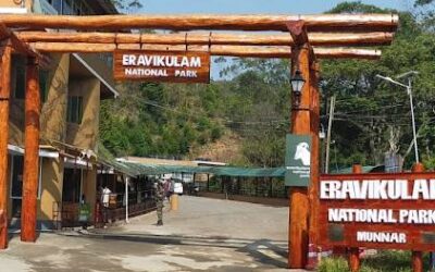 Eravikulam National Park, Kerala: Where the Hills Echo with Nature’s Symphony