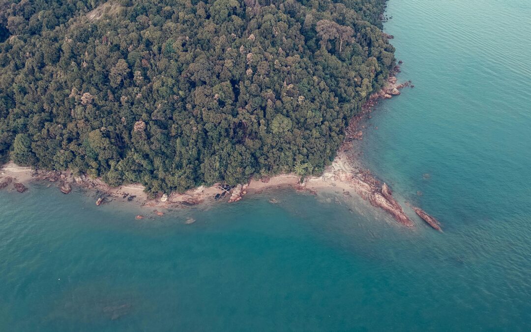 Campbell Bay National Park, Andaman & Nicobar Islands: A Tropical Wonderland