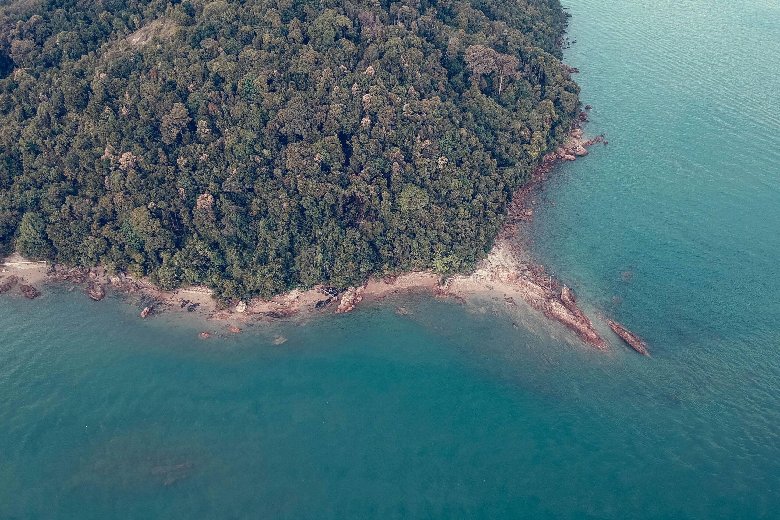 Campbell Bay National Park, Andaman & Nicobar Islands: A Tropical ...