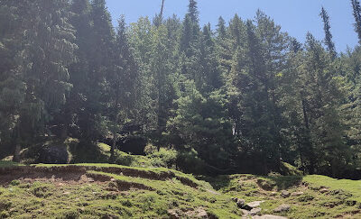 City Forest (Salim Ali) National Park, Jammu & Kashmir: A Tranquil Oasis in Srinagar