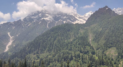 Dachigam National Park, Jammu & Kashmir: Where the Himalayan Wilderness Thrives