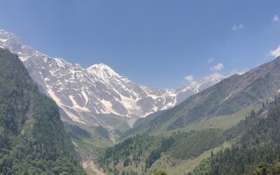 Khirganga National Park, Himachal Pradesh: Where Nature Weaves its Tranquil Tapestry
