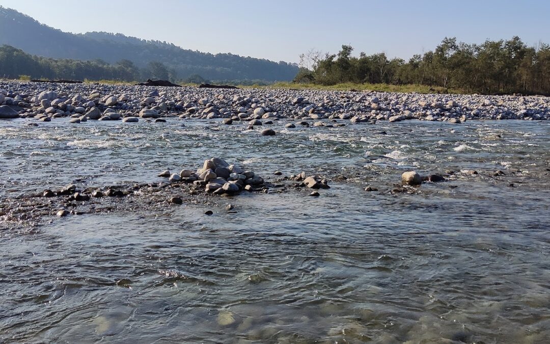 Gangotri National Park, Uttarakhand: Where Nature and Spirituality Converge