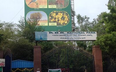 Kasu Brahmananda Reddy National Park, Telangana: A Verdant Oasis in Urbanity