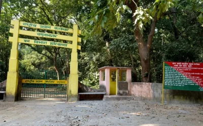 Kalesar National Park, Haryana: A Biodiversity Haven in North India