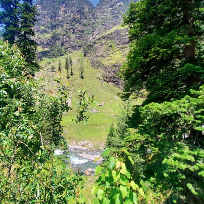 Kishtwar National Park, Jammu & Kashmir: A Hidden Gem in the Himalayas