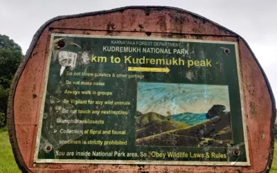 Kudremukh National Park, Karnataka: A Verdant Jewel in the Western Ghats