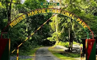 Mount Harriet National Park, Andaman & Nicobar Islands: A Natural Jewel in the Bay of Bengal