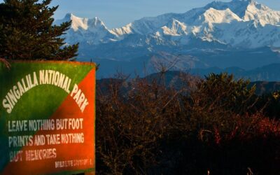 Singalila National Park, West Bengal: Where the Himalayas Unveil Their Majesty