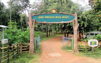 Anshi National Park, Karnataka: A Verdant Haven in the Western Ghats