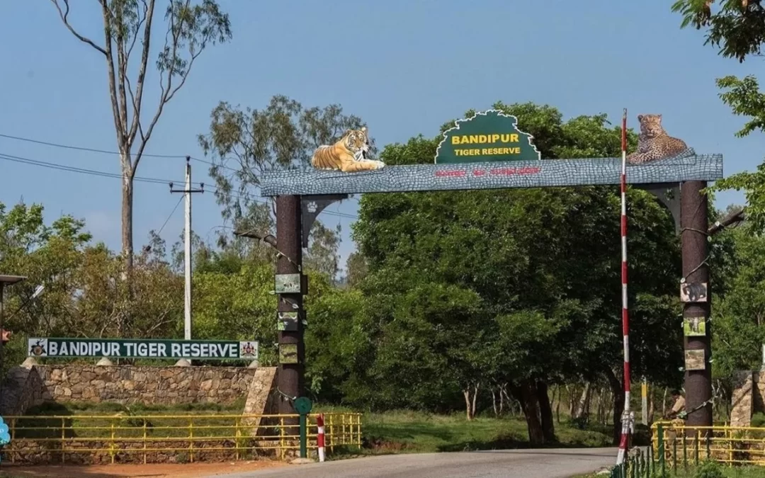 Bandipur National Park: Karnataka’s Wildlife Jewel