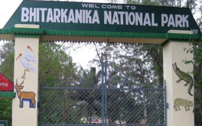 Bhitarkanika National Park, Odisha: A Mangrove Marvel on India’s East Coast