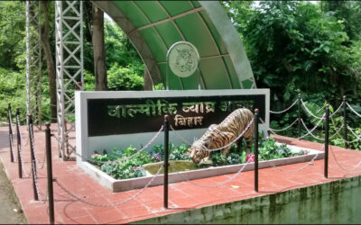 Valmiki National Park, Bihar: Where Nature and Mythology Intertwine