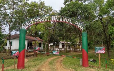 Balpakram National Park, Meghalaya: Meghalaya’s Abode of Clouds and Wildlife