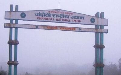 Chandoli National Park, Maharashtra: Where Wilderness Thrives in the Sahyadris