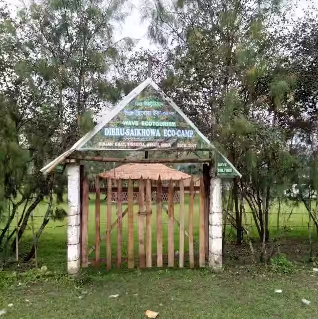 Dibru-Saikhowa National Park, Assam: A Verdant Oasis in the Brahmaputra Valley