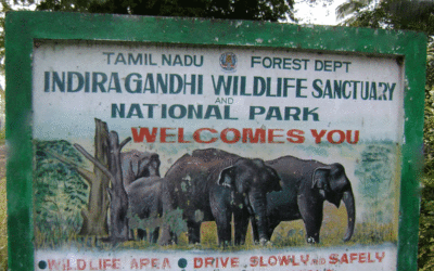 Indira Gandhi (Annamalai) National Park, Tamil Nadu: A Biodiversity Haven in the Western Ghats