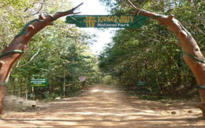 Kanger Valley National Park, Chhattisgarh: A Paradise of Pristine Wilderness