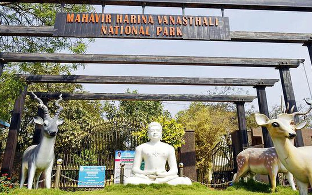 Mahaveer Harina Vanasthali National Park, Telangana: A Wilderness Haven in Urban Vicinity