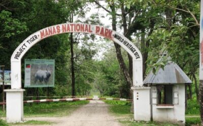 Manas National Park, Assam: A Biodiversity Jewel of the Northeast