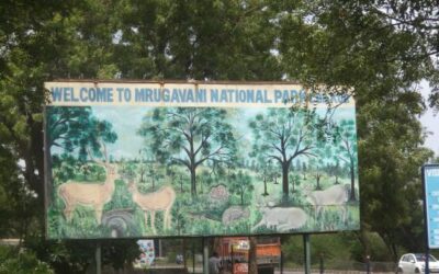 Mrugavani National Park, Telangana: A Tranquil Retreat in Urban Proximity