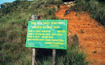 Mukurthi National Park, Tamil Nadu: A High-Altitude Gem in the Nilgiris