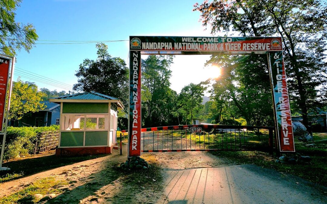 Namdapha National Park, Arunachal Pradesh: Where Wilderness Meets the Himalayas