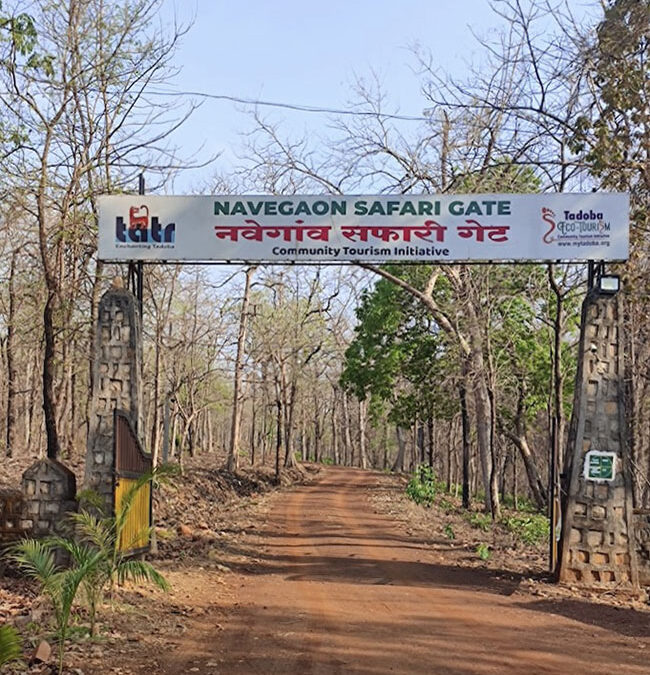 Navegaon National Park: Maharashtra’s Verdant Gem