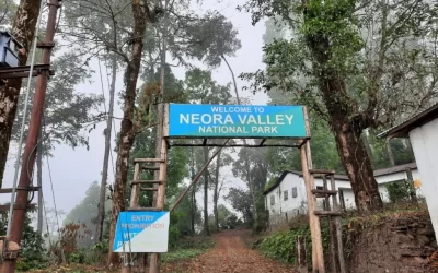 Neora Valley National Park, West Bengal: Unraveling the Mysteries of the Eastern Himalayas