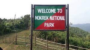 Nokrek Ridge National Park, Meghalaya: Where Nature Paints Its Most Intricate Canvases