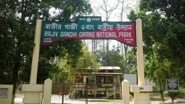 Rajiv Gandhi Orang National Park, Assam: Where Nature’s Palette Unfolds
