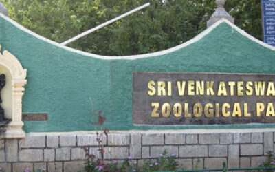 Sri Venkateswara National Park, Andhra Pradesh: Where Nature and Divinity Converge