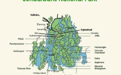 Sunderban National Park, West Bengal