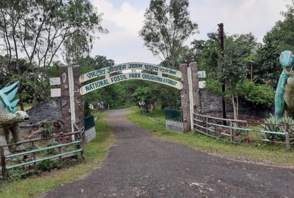 Fossil National Park, Madhya Pradesh: Unearthing Earth’s Ancient Secrets