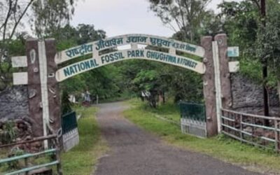 Fossil National Park, Madhya Pradesh: Unearthing Earth’s Ancient Secrets