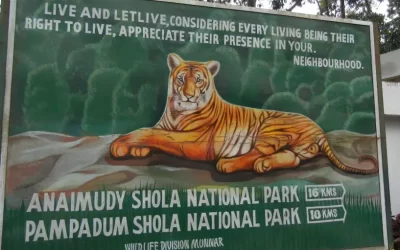 Anamudi Shola National Park, Kerala: Where Wilderness Sings in the Western Ghats