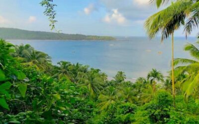 Mahatma Gandhi Marine National Park, Andaman & Nicobar Islands: A Coral Kingdom in the Bay of Bengal