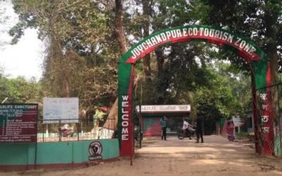 Bison National Park, Tripura: Where Wilderness Thrives in the Northeastern Gem