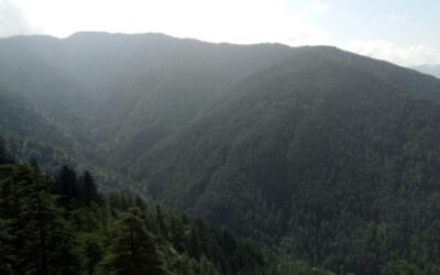 Murlen National Park, Mizoram: A Hidden Gem of Northeast India