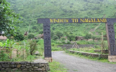 Intanki National Park, Nagaland: A Biodiversity Haven in the Eastern Himalayas